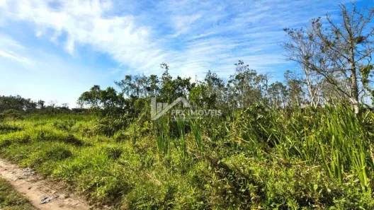 Lote/Terreno à venda, 309m² no Jardim das Palmeiras, Itanhaém