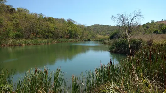 Lote/Terreno à venda, 1000m² no , Jequitibá