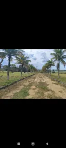 Fazenda/Sítio à venda, 2500m² no Caxangá, Carapebus