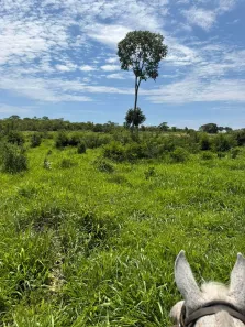 Fazenda/Sítio com 2 Quartos à venda, 3000000m² no Centro, Urucuia