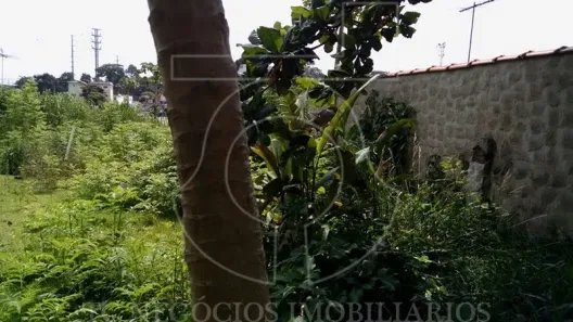 Lote/Terreno à venda, 484m² no Vila Santo Antônio, Cotia