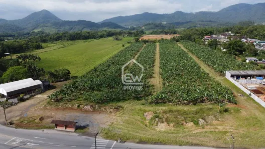 Galpão/Depósito/Armazém com 1 Quarto à venda, 41096m² no , Schroeder