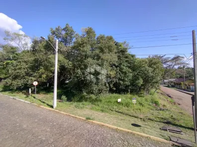 Lote/Terreno à venda, 384m² no Cidade Nova, Ivoti
