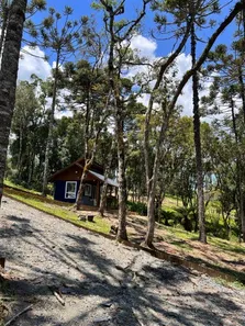 Imóvel Comercial com 3 Quartos à venda, 20000m² no , Urubici