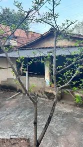 Casa com 3 Quartos à venda, 200m² no Pirenópolis, Pirenópolis