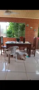 Sobrado com 5 Quartos à venda, 240m² no São Brás, Belém