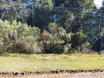 Lote/Terreno à venda, 4000m² no Centro, São Francisco de Paula