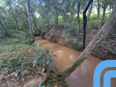 Fazenda/Sítio com 4 Quartos à venda, 7800m² no , Abadia de Goiás