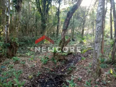 Lote/Terreno à venda, 1250m² no Jardim Aguapeu, Itanhaém