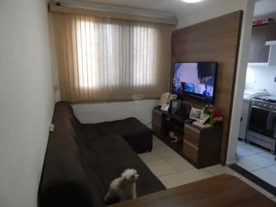 Apartamento com 2 Quartos à venda, 46m² no Jardim Nova Europa, Campinas