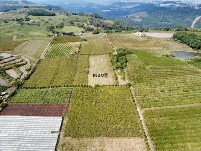 Lote/Terreno à venda, 20000m² no , Pinto Bandeira