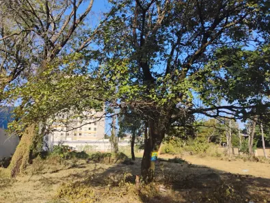 Imóvel Comercial à venda, 746m² no Jardim Colonial, Bauru