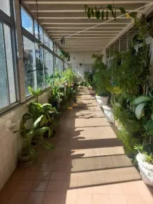 Cobertura com 4 Quartos à venda, 358m² no Funcionários, Belo Horizonte