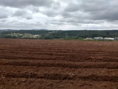 Lote/Terreno à venda, 40000m² no Centro, Jarinu