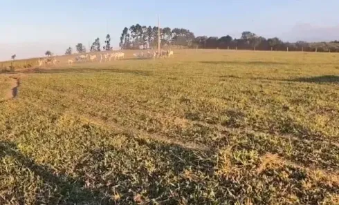 Fazenda/Sítio com 2 Quartos à venda, 469480m² no , São Sebastião do Paraíso