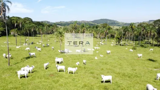 Fazenda/Sítio à venda, 870000m² no , Bela Vista de Goiás