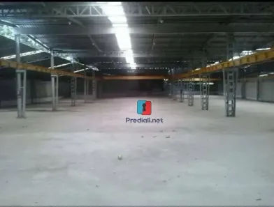 Galpão/Depósito/Armazém à venda, 5500m² no Vila Jaraguá, São Paulo