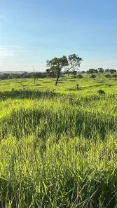 Fazenda/Sítio à venda, 4670600m² no Setor Central, Itarumã