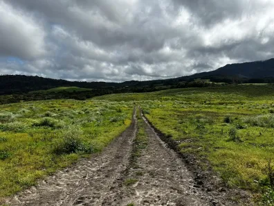 Fazenda/Sítio à venda, 1880000m² no , Urubici