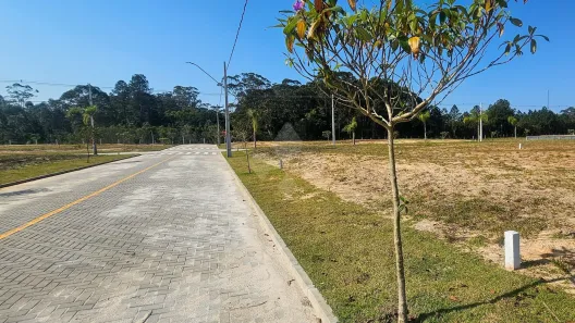 Lote/Terreno à venda, 384m² no Campo Duna, Garopaba