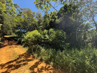 Lote/Terreno à venda, 10m² no , Itacaré