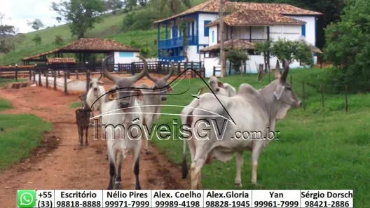Fazenda/Sítio com 1 Quarto à venda, 65m² no Ilha dos Araújos, Governador Valadares