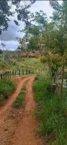 Fazenda/Sítio com 2 Quartos à venda, 120m² no Centro, Fundão