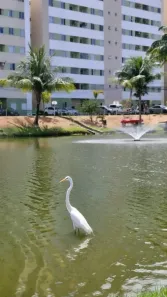 Apartamento com 2 Quartos à venda, 55m² no Centro, Lauro de Freitas