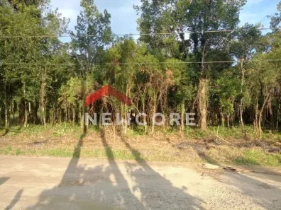 Lote/Terreno à venda, 1250m² no Jardim Aguapeu, Itanhaém