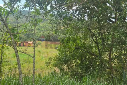 Fazenda/Sítio à venda, 517000m² no , Carmópolis de Minas