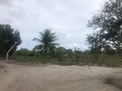 Fazenda/Sítio com 3 Quartos à venda, 5500m² no , Vera Cruz