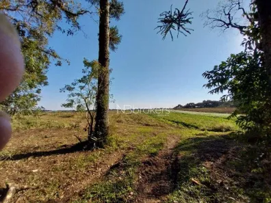 Fazenda/Sítio à venda, 36000m² no Colônia Rio Grande, São José dos Pinhais