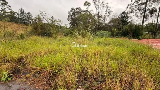 Lote/Terreno à venda, 175m² no Parque Rizzo II, Cotia