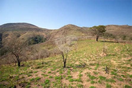 Lote/Terreno à venda, 123000m² no Recanto das Acácias, São Roque