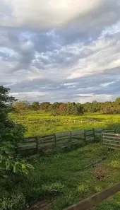 Fazenda/Sítio à venda, 107m² no Centro, Araguaiana