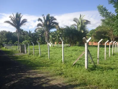 Lote/Terreno à venda, 4000m² no São Sebastião, Teresina
