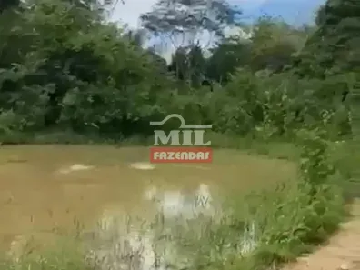 Fazenda/Sítio à venda, 500m² no , Heitoraí