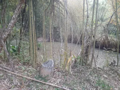Fazenda/Sítio com 2 Quartos à venda, 13000m² no , Piracaia