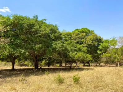 Fazenda/Sítio à venda, 27000m² no Distrito de Roselândia, Bela Vista de Goiás