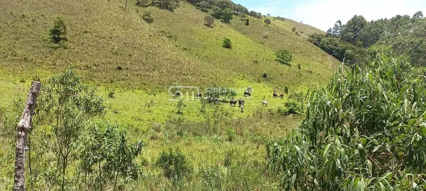 Fazenda/Sítio com 2 Quartos à venda, 145200m² no , Silveiras