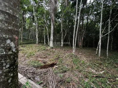 Lote/Terreno à venda, 871m² no Ibiraquera, Imbituba