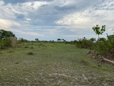 Fazenda/Sítio com 5 Quartos à venda, 2625m² no , Dois Irmãos do Tocantins