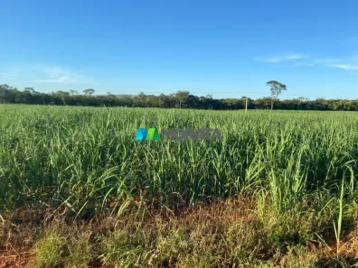 Fazenda/Sítio com 1 Quarto à venda, 31m² no , Paraopeba