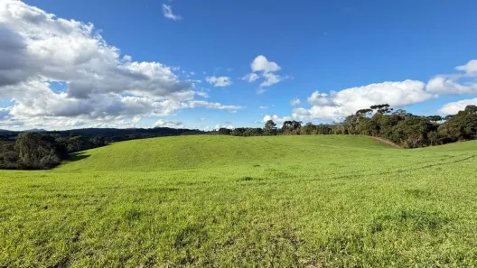 Fazenda/Sítio à venda, 44000m² no , Bom Retiro