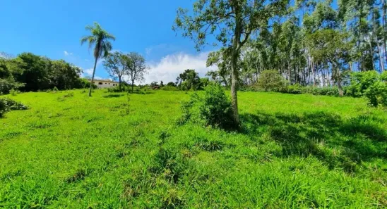 Fazenda/Sítio com 4 Quartos à venda, 3600m² no Área Rural de Itapeva, Itapeva
