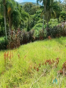 Lote/Terreno para alugar, 1500m² no Rancho Tucsons, Santana de Parnaíba