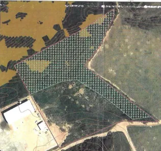 Lote/Terreno à venda, 23000m² no Belvedere, Serra