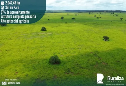Fazenda/Sítio à venda, 2042m² no , Conceição do Araguaia