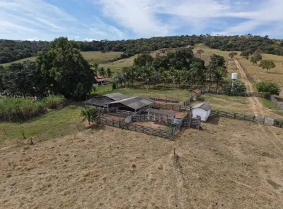 Fazenda/Sítio com 3 Quartos à venda, 882000m² no , Piracanjuba