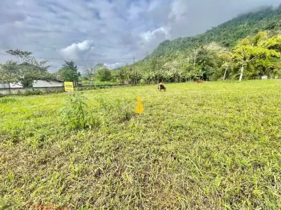 Lote/Terreno à venda, 731m² no Padre Martinho Stein, Timbó